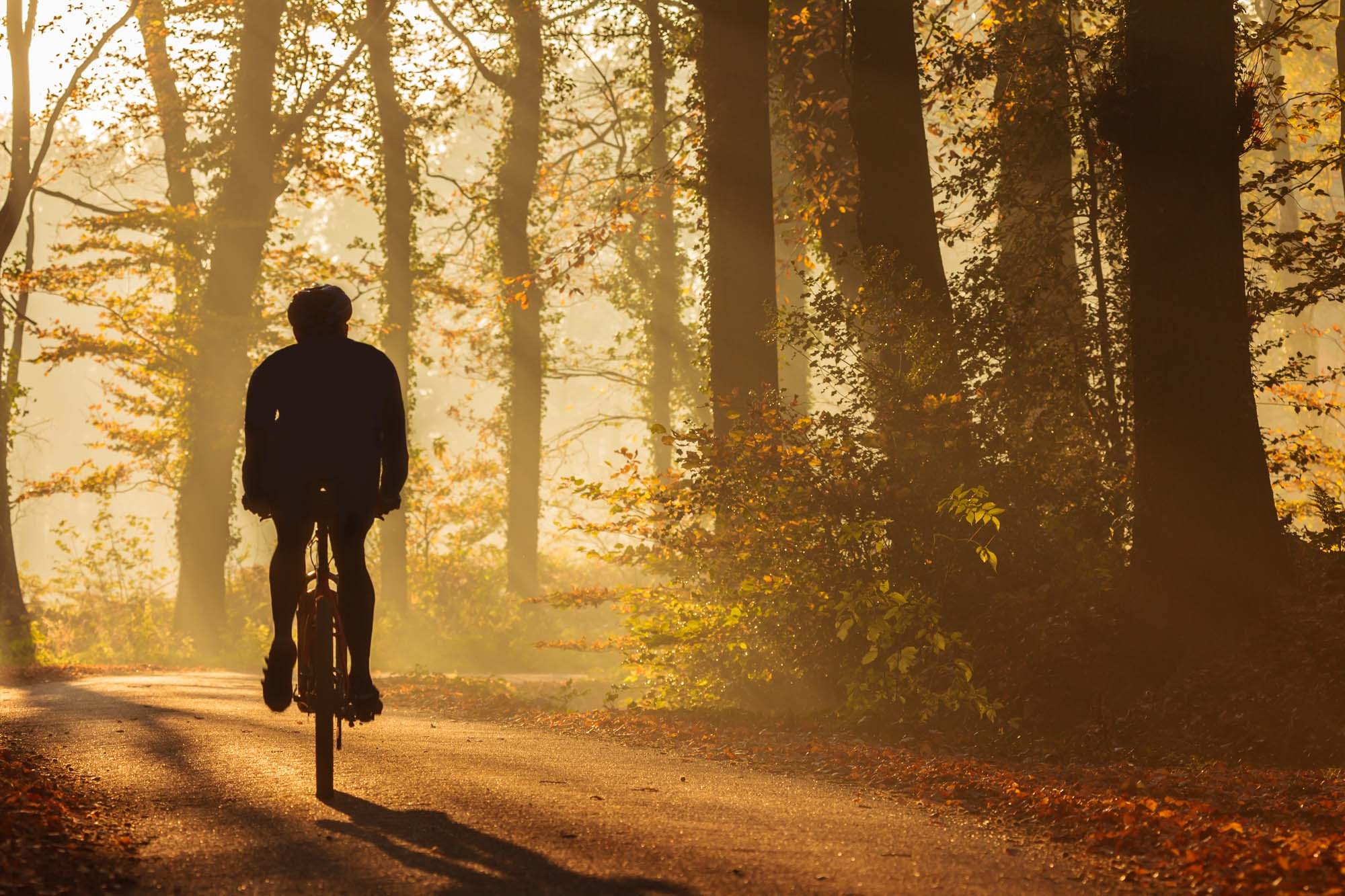 Fietsen op de veluwe